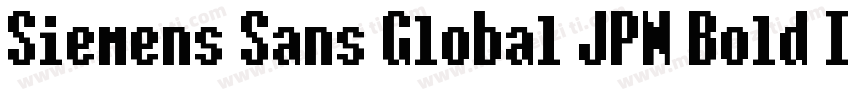 Siemens Sans Global JPN Bold Italic字体转换